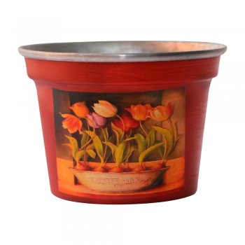 Cachepôos Para Vioteta G