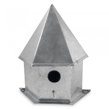 Casa de Passarinho - Castelo