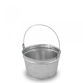 Baldinho médio  gordo